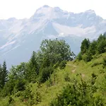 Gaestehaus Klug Pensión Bschlabs